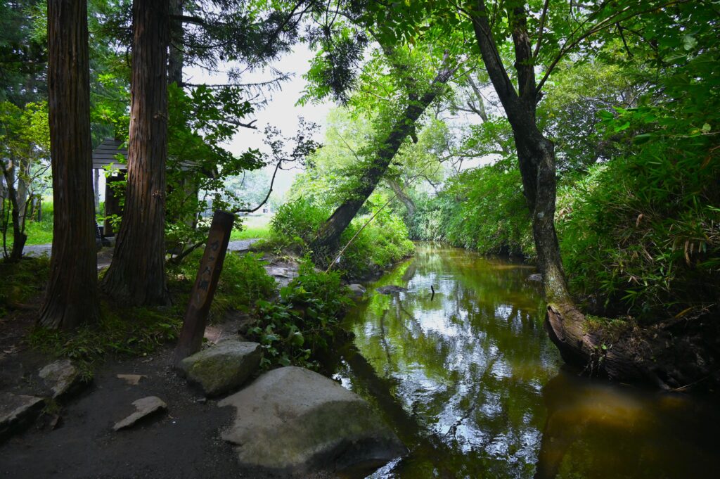 遠野と原風景 - 自由なエネルギーで生きる